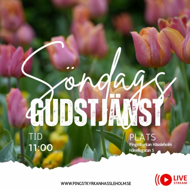 Den här veckan: Ordet, bordet, bönen på torsdag 19.00, Fredagsträffen och gudstjänst på söndag.